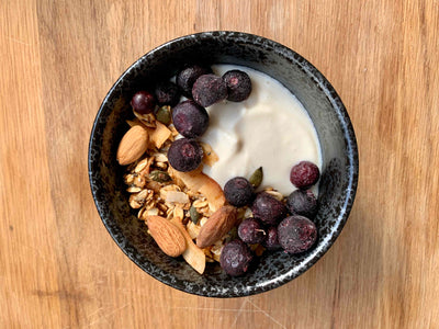 Probiotic homemade yoghurt recipe
